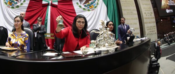 Marcela Guerra Castillo Representar A La C Mara De Diputados En El